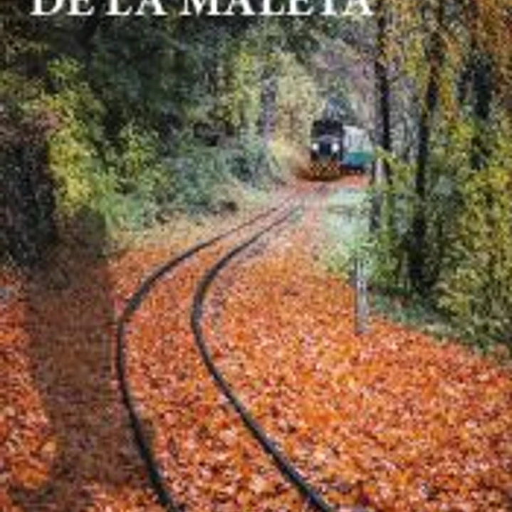 El chico de la maleta 1
