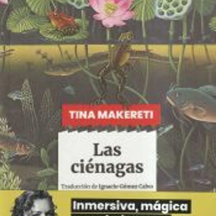 Las ciénagas 1