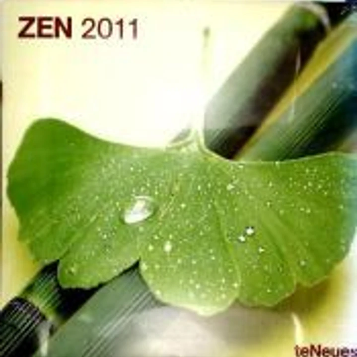 Zen 2011 1