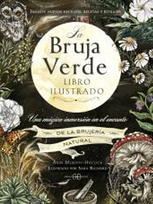 La bruja verde. Libro ilustrado