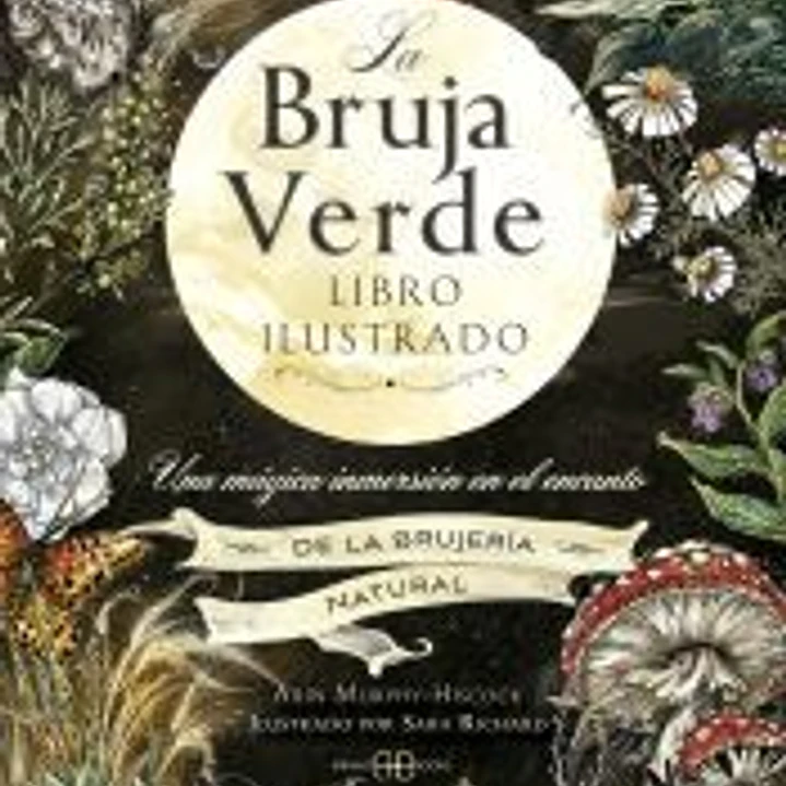 La bruja verde. Libro ilustrado 1