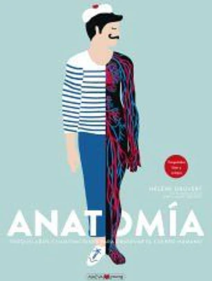 Anatomía
