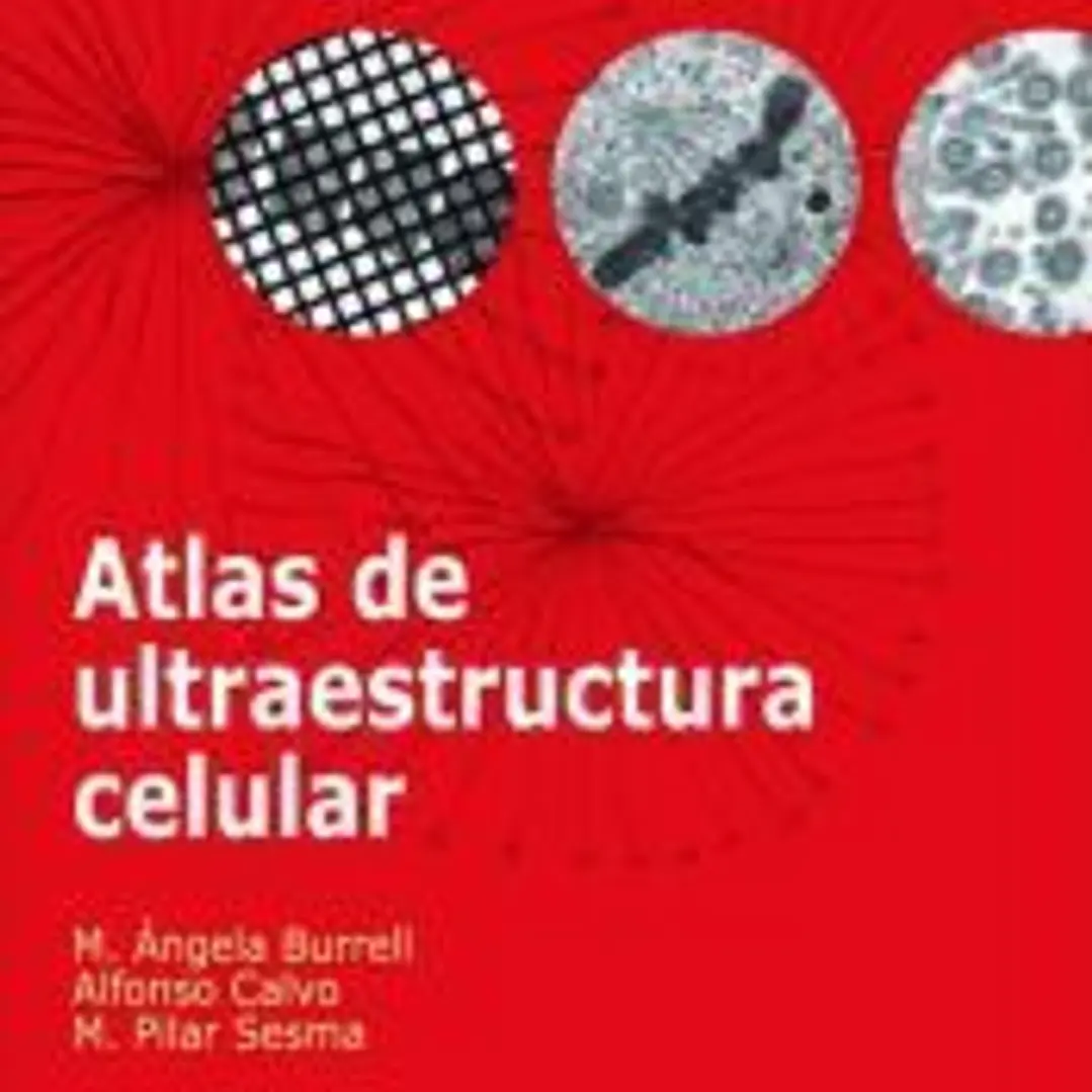 Atlas de ultraestructura celular 1