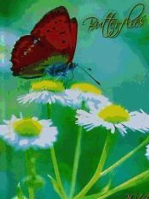 Butterflies 2014 Agenda