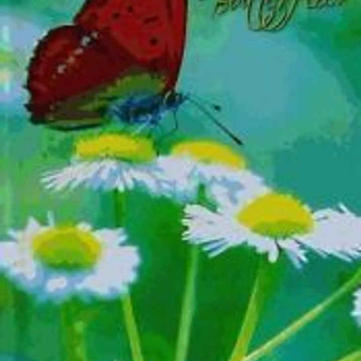 Butterflies 2014 Agenda 1