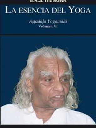 La esencia del yoga VI