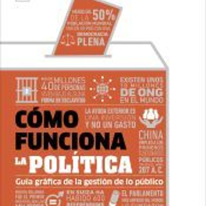 COMO FUNCIONA LA POLITICA 1