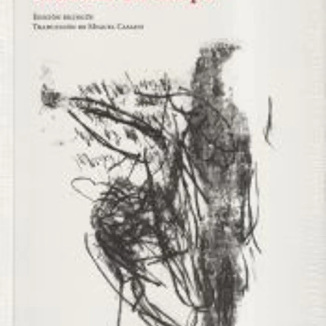 Extractos del cuerpo 1