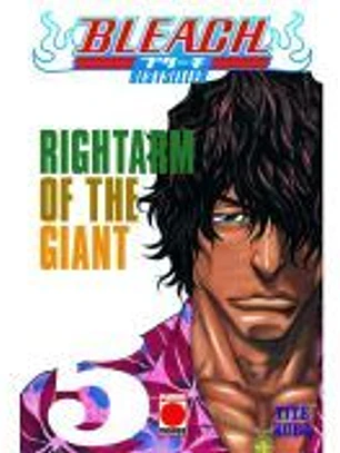 Bleach: Bestseller 5