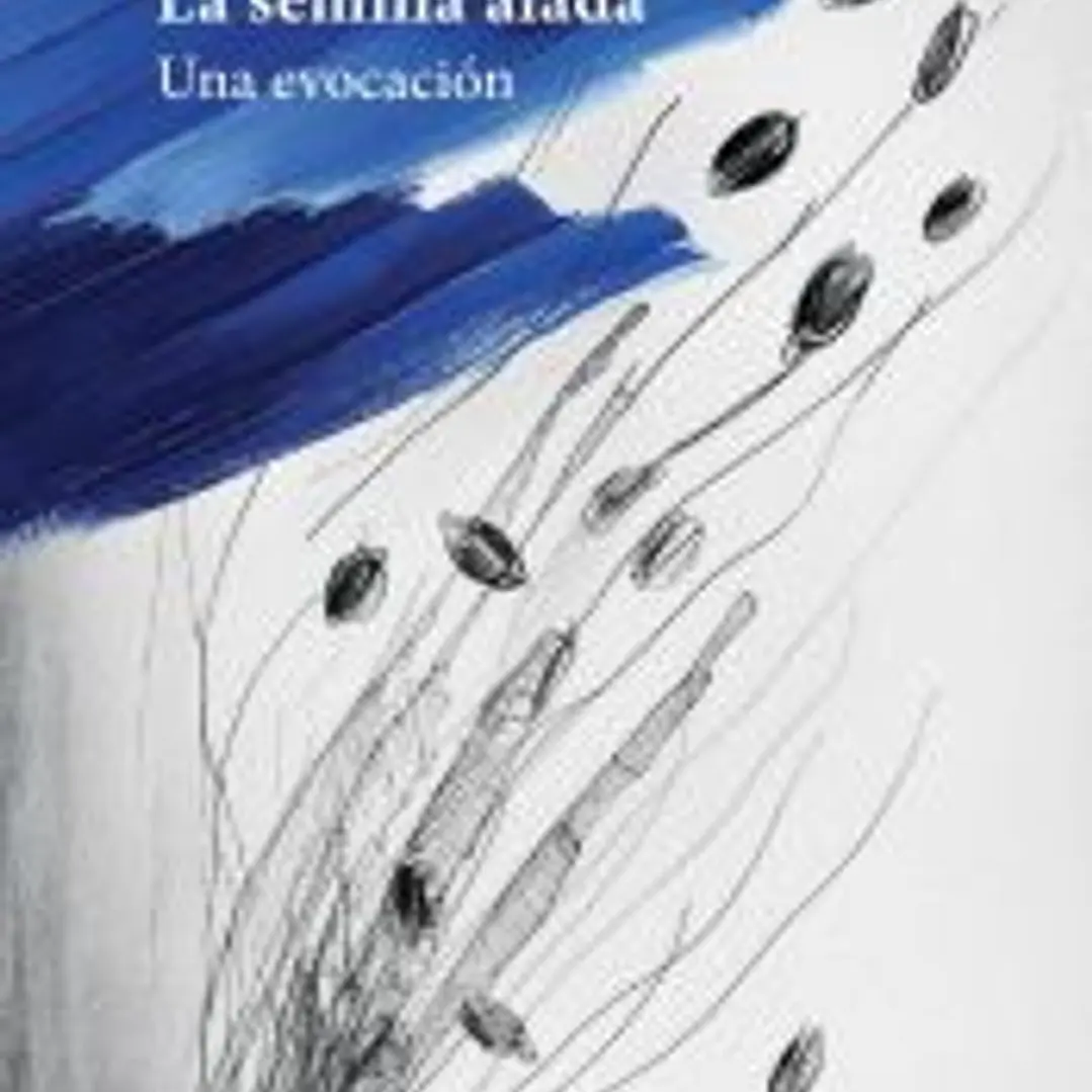 La semilla alada 1