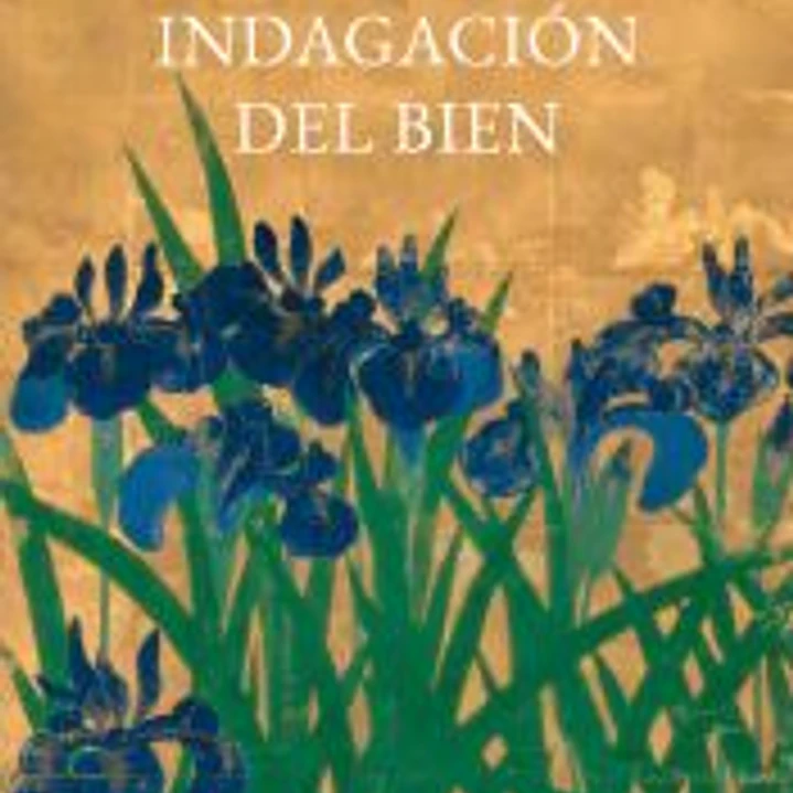 Indagación del Bien 1