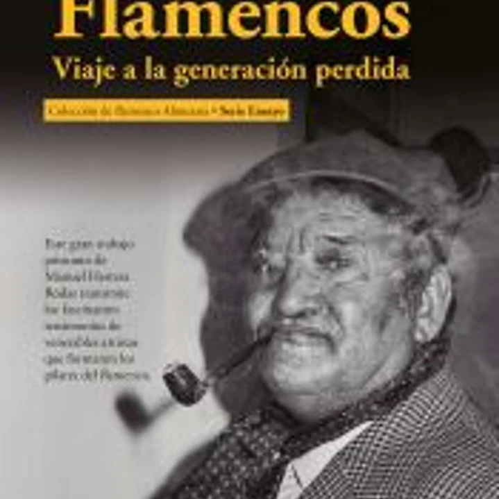 Flamencos: Viaje a la generación perdida 1