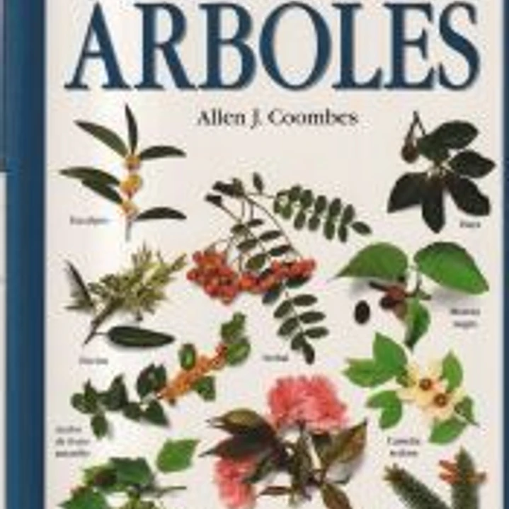 ÁRBOLES 1