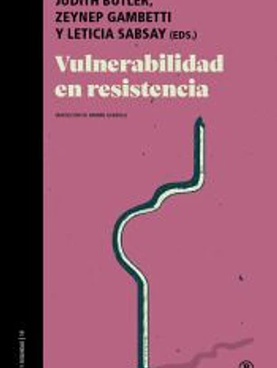Vulnerabilidad En Resistencia