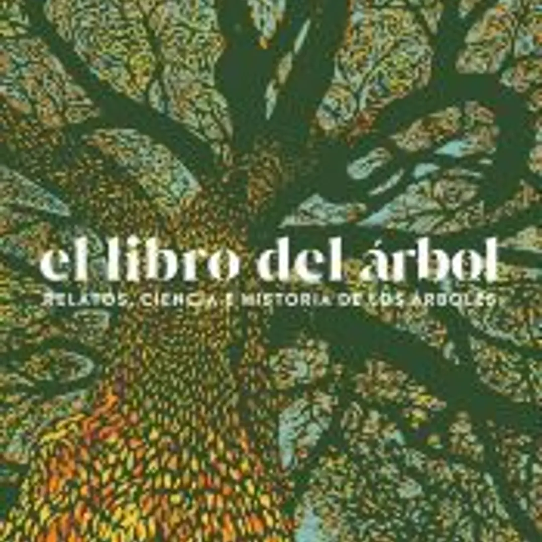 Libro del árbol 1