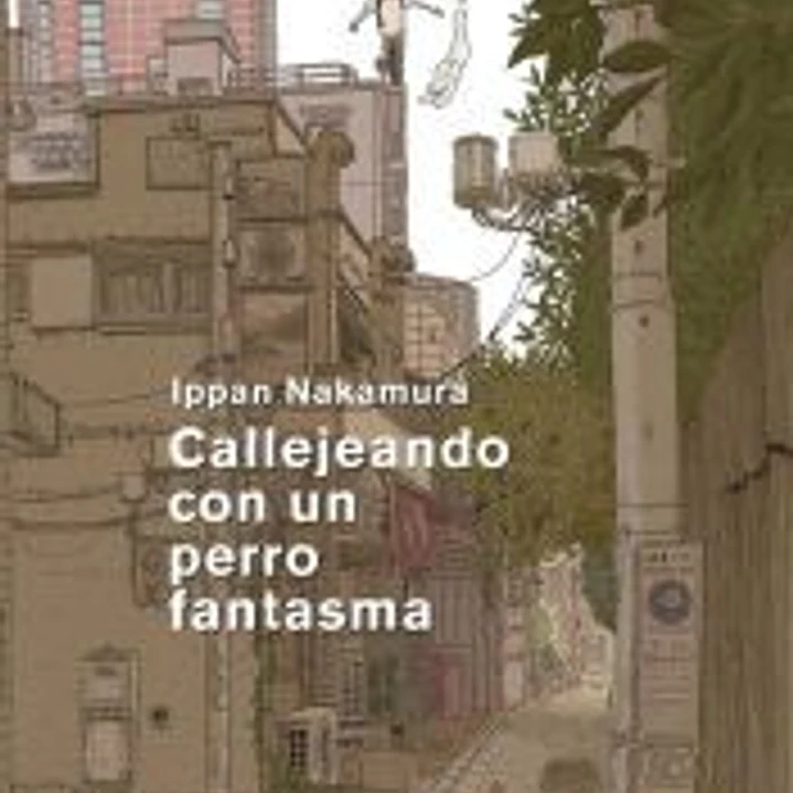 CALLEJEANDO CON UN PERRO FANTASMA 1