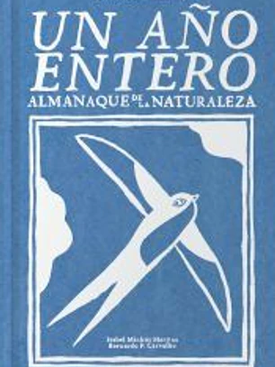 Un año entero