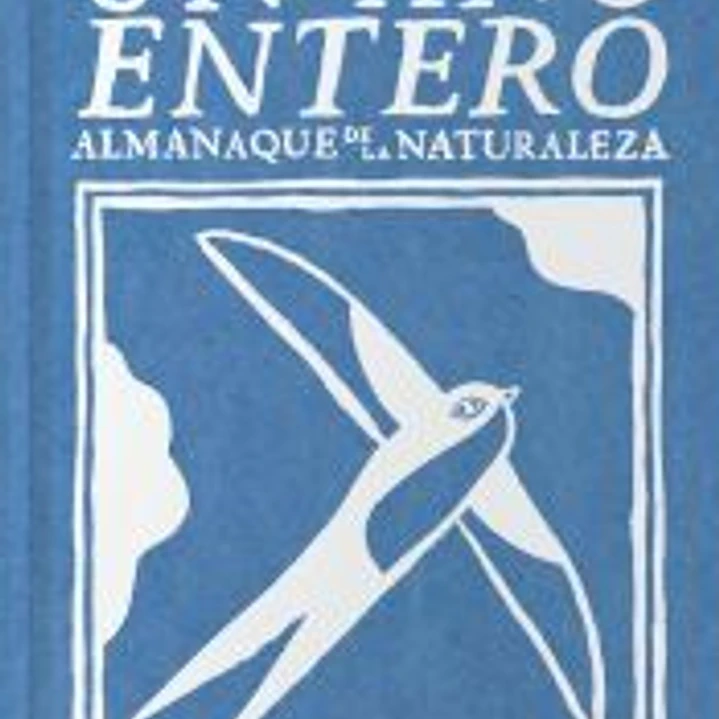 Un año entero 1