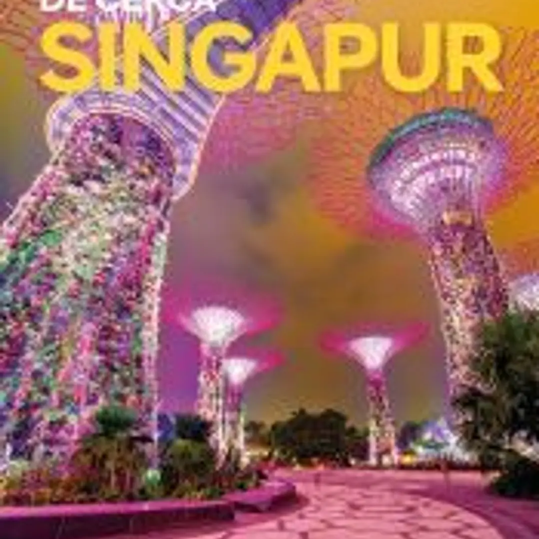 Singapur de cerca 3 1