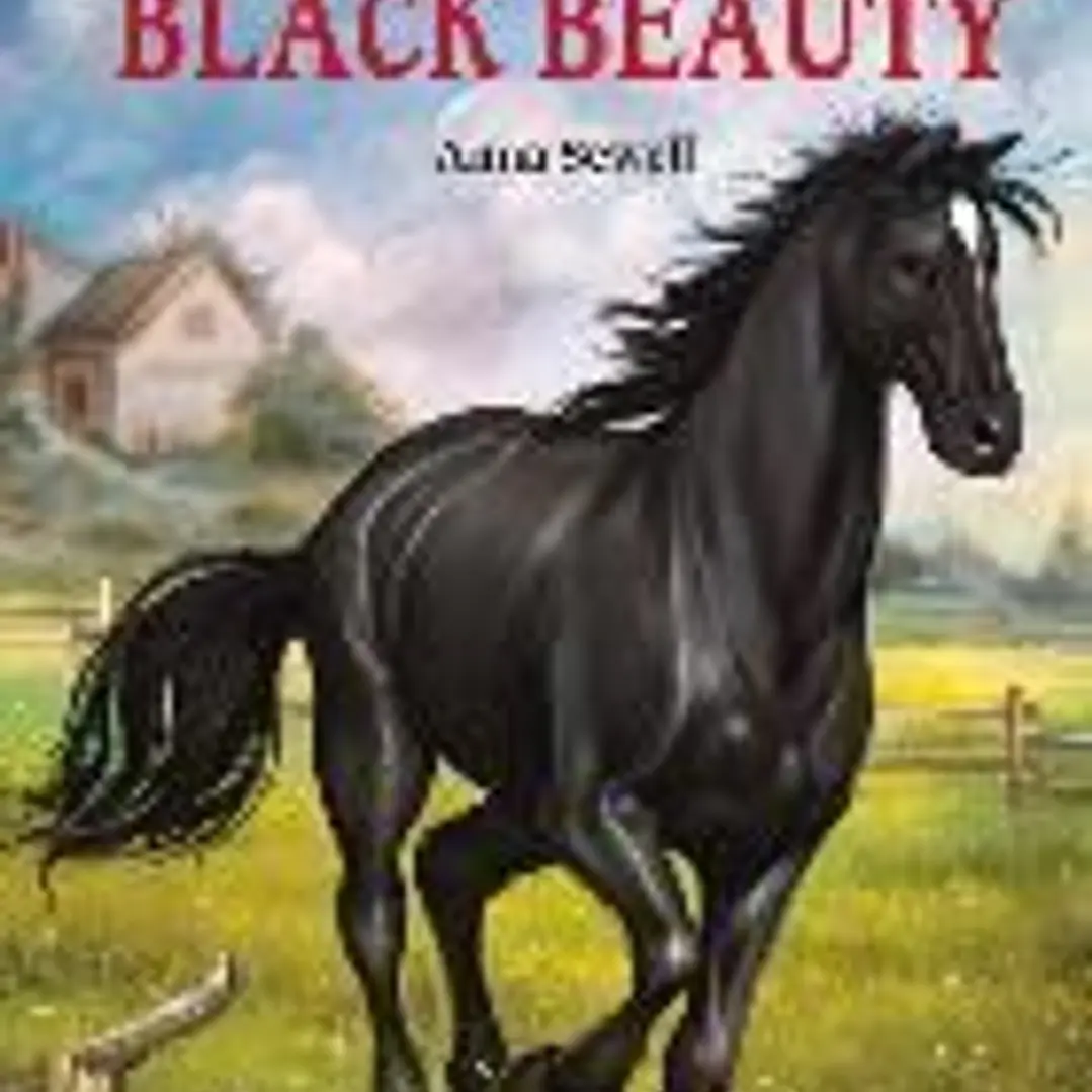 Black Beauty 1