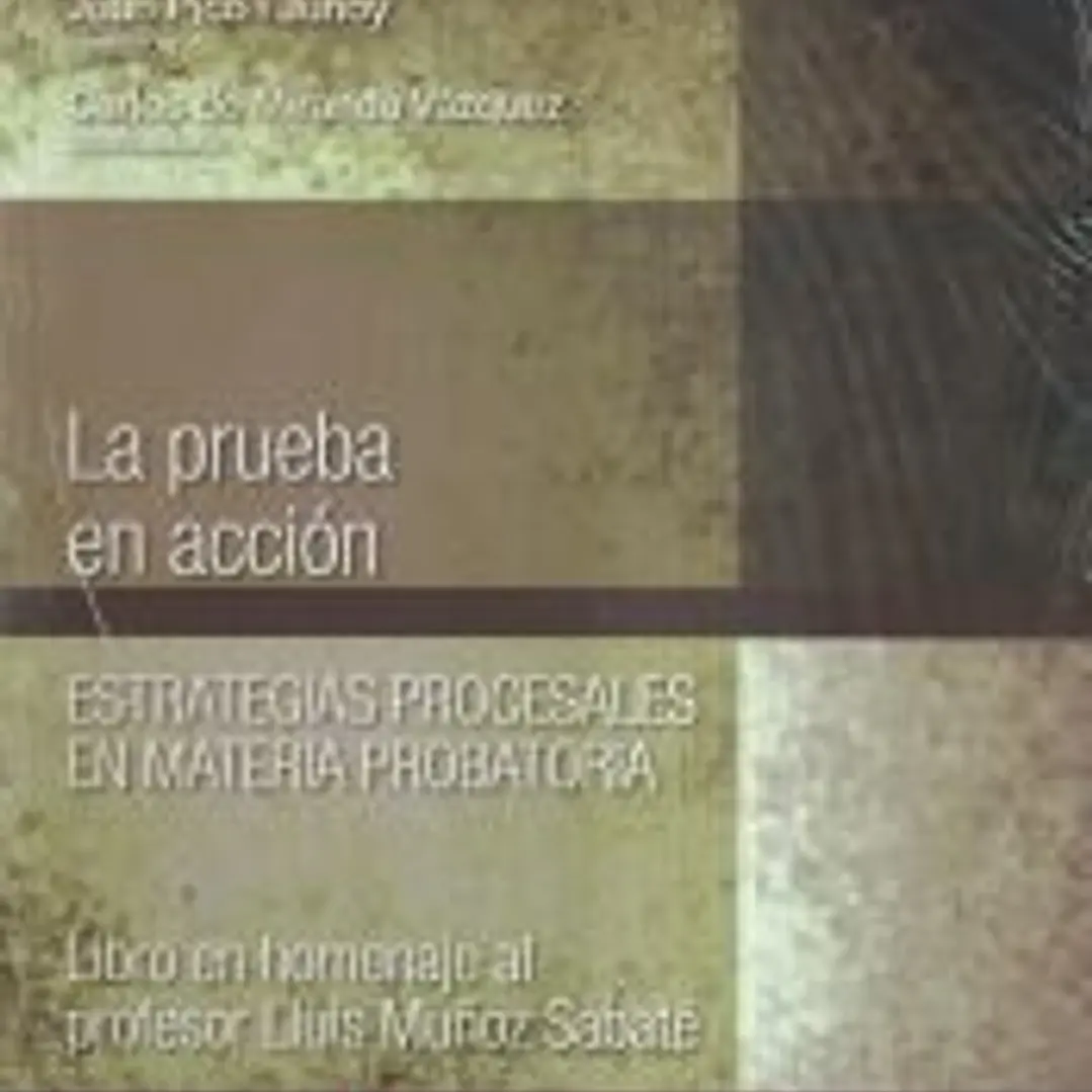 La prueba en acción. Estrategias procesales en materia probatoria. 1