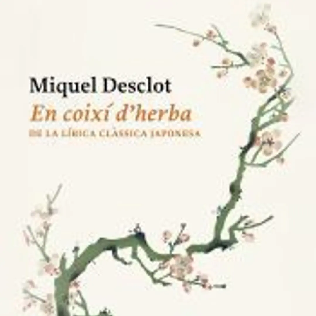 En coixí d'herba 1