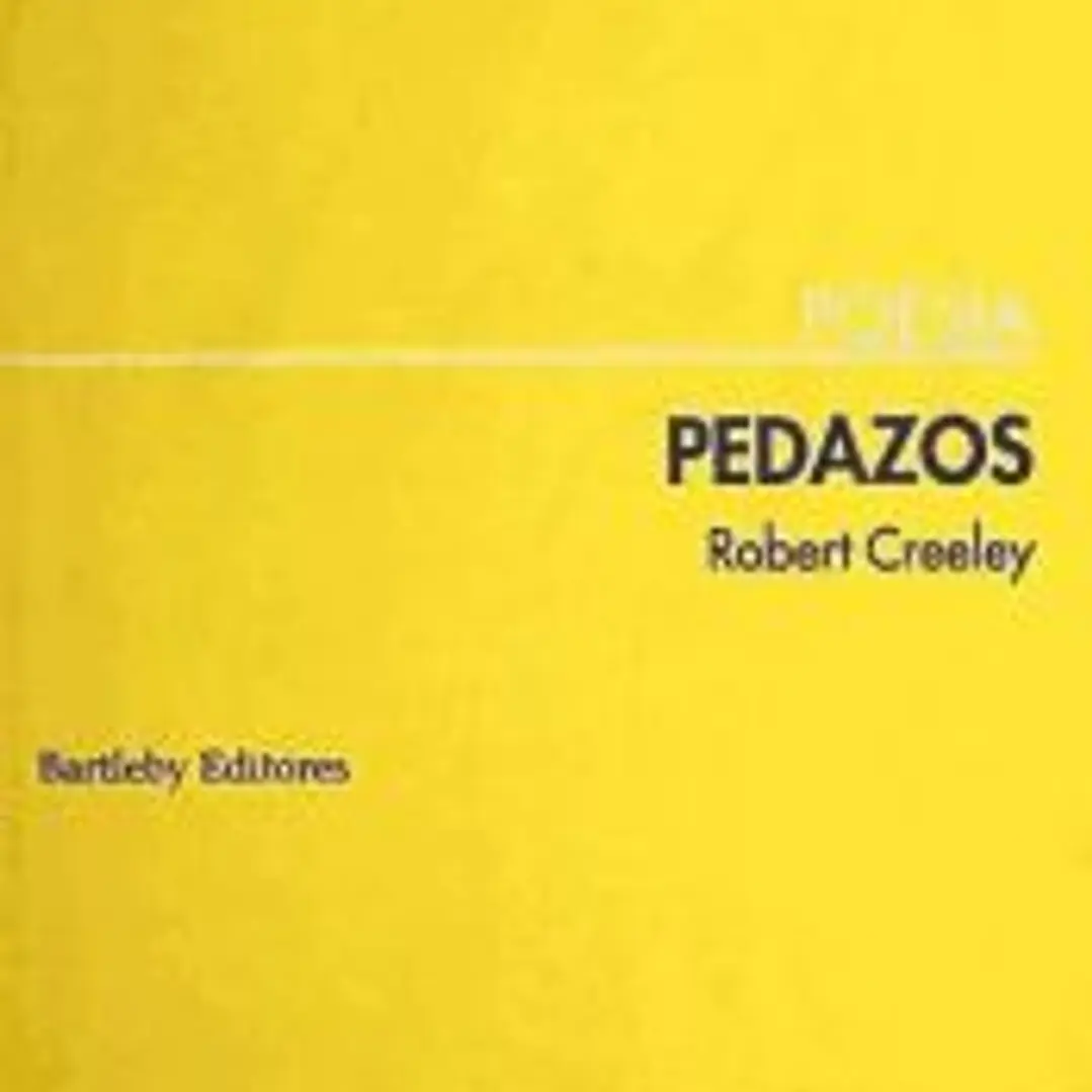 PEDAZOS 1