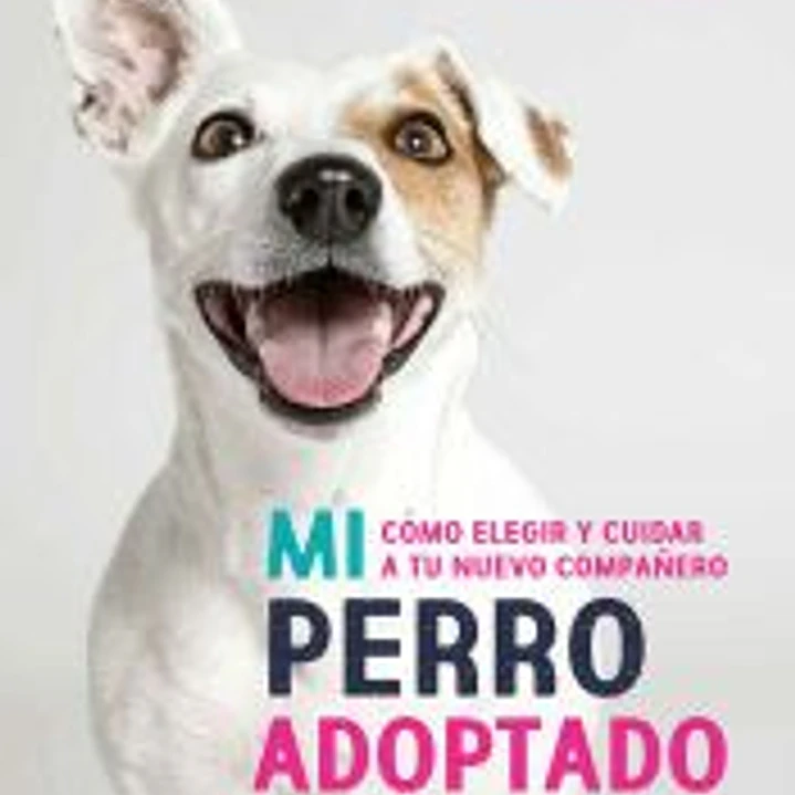 Mi perro adoptado 1