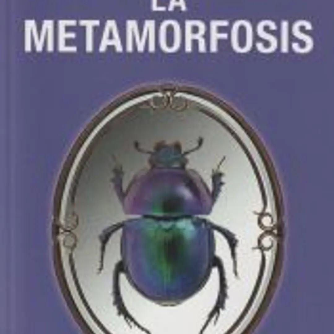 La metamorfosis 1