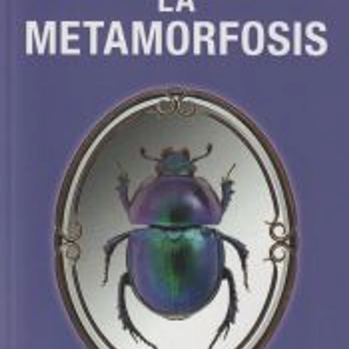 La metamorfosis 1
