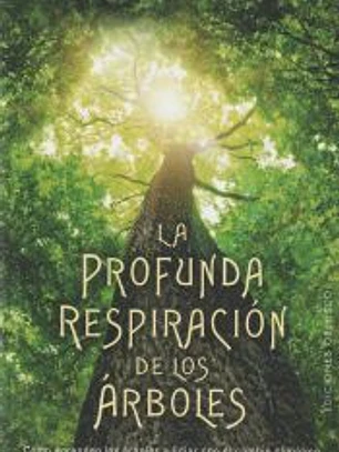 La profunda respiración de los árboles