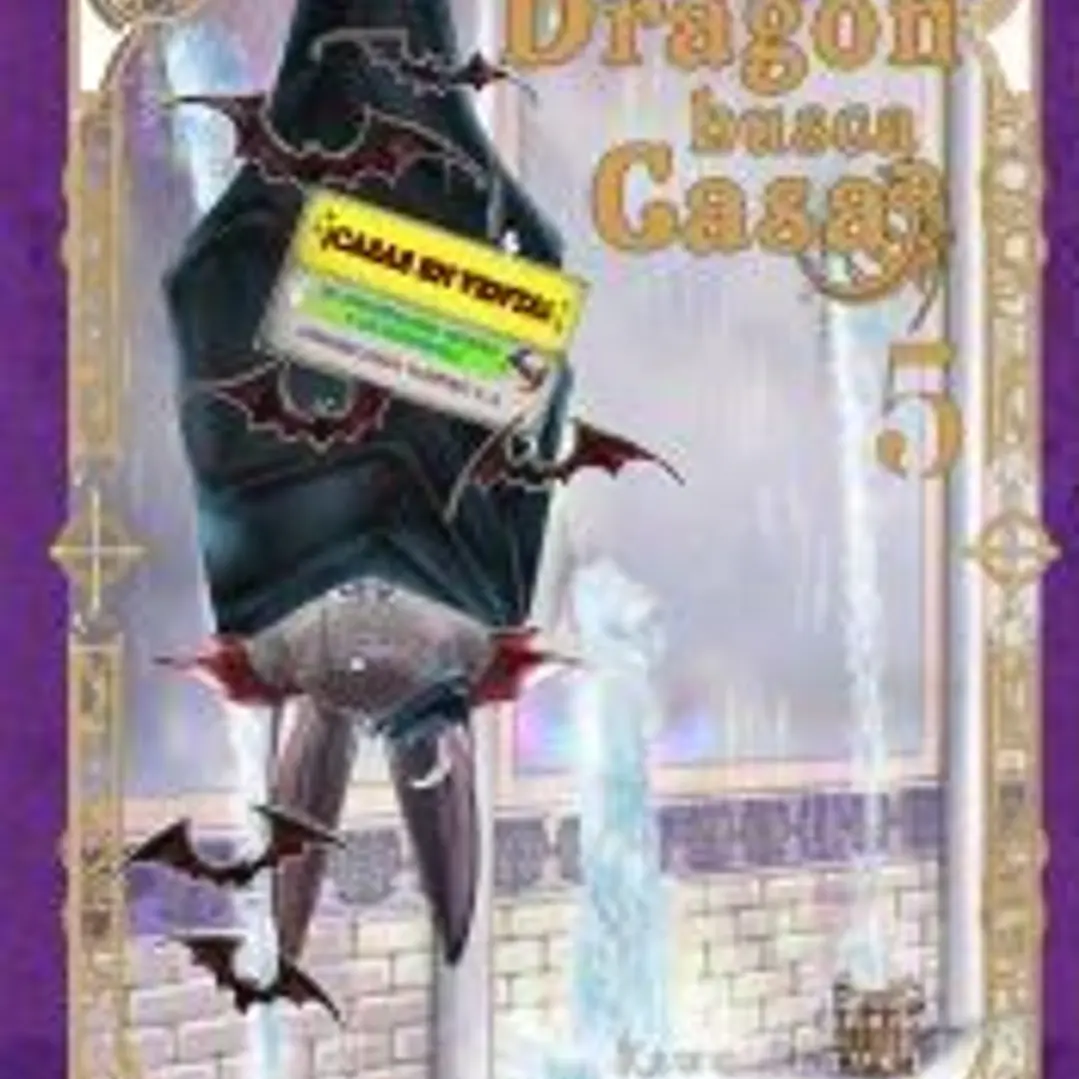 Dragón busca casa 1