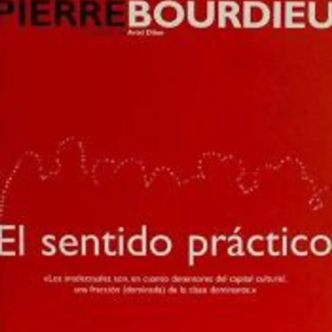 El sentido práctico 1