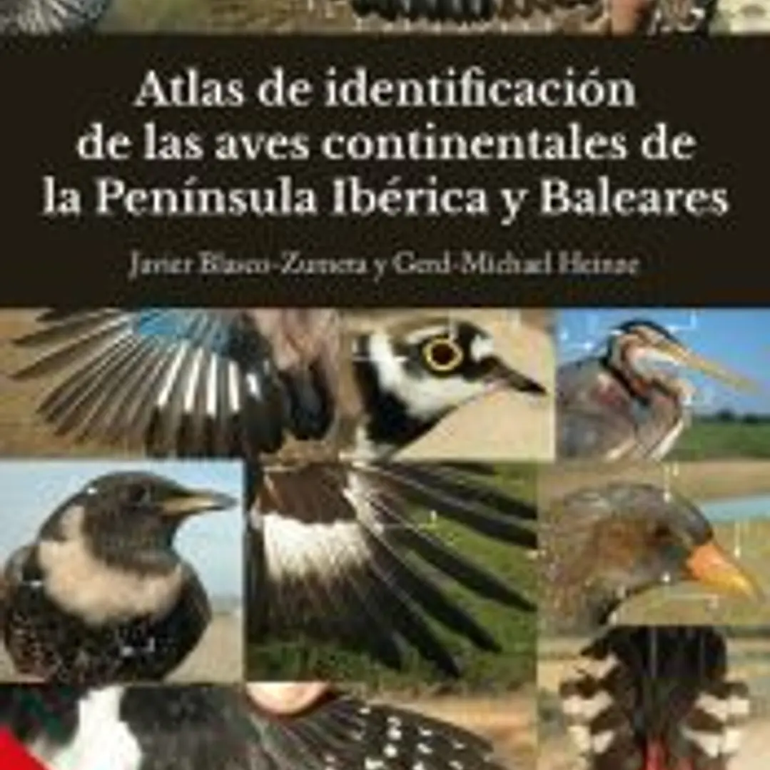 Atlas de identificación de aves continentales de península 1