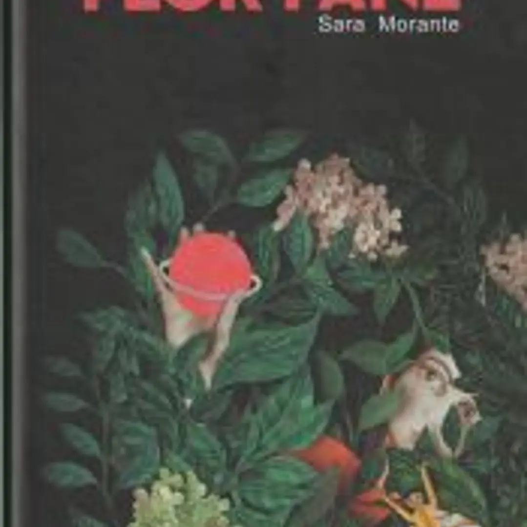 Flor Fané 1