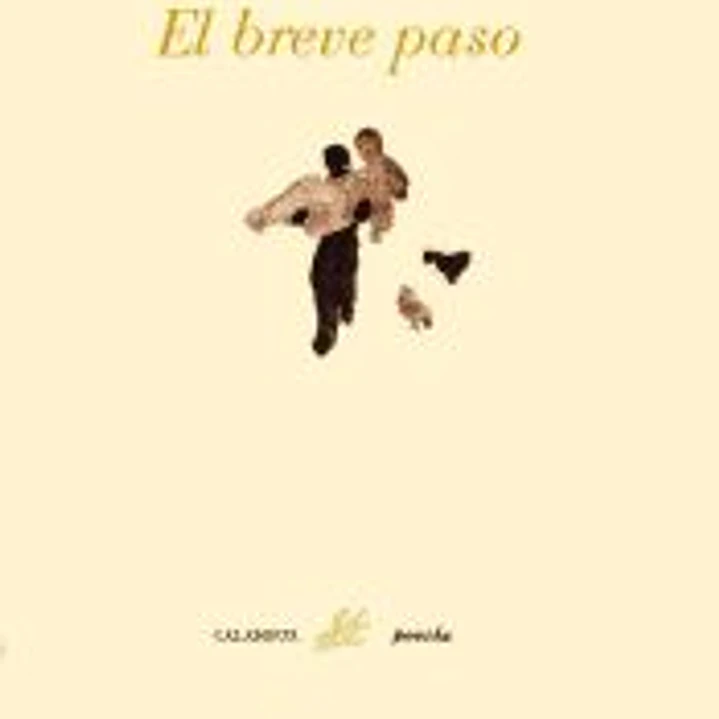 El breve paso 1