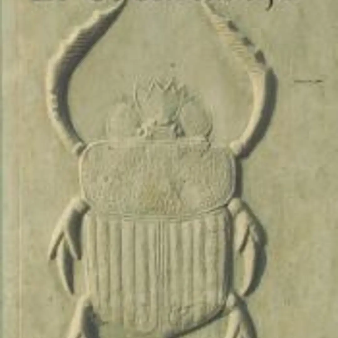 El escarabajo 1