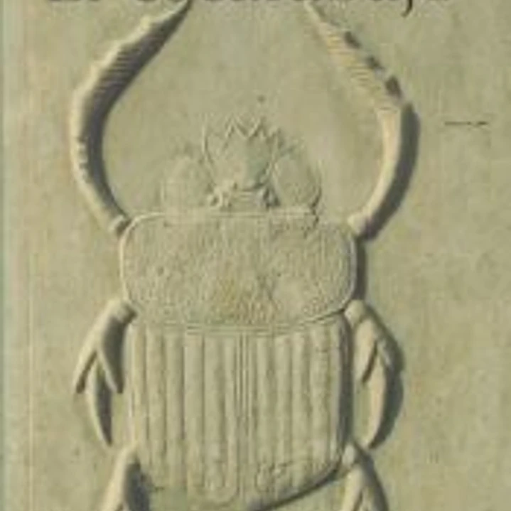 El escarabajo 1