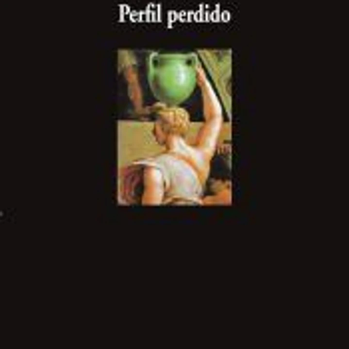 Perfil perdido 1