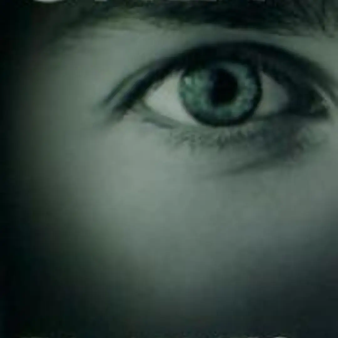 Grey: Fifty Shades of Grey as told by Christian 1