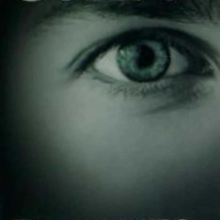 Grey: Fifty Shades of Grey as told by Christian 1