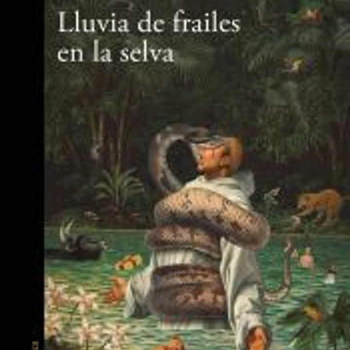 Lluvia de frailes en la selva 1