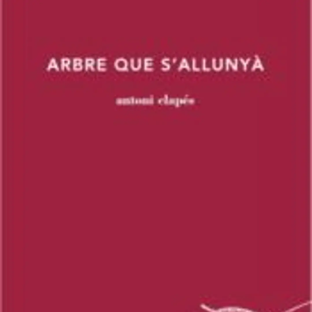 ARBRE QUE S’ALLUNYÀ 1