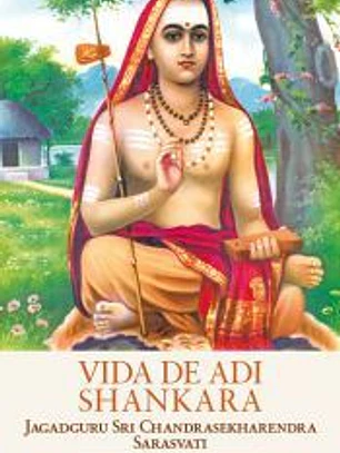 Vida de Adi Shankara
