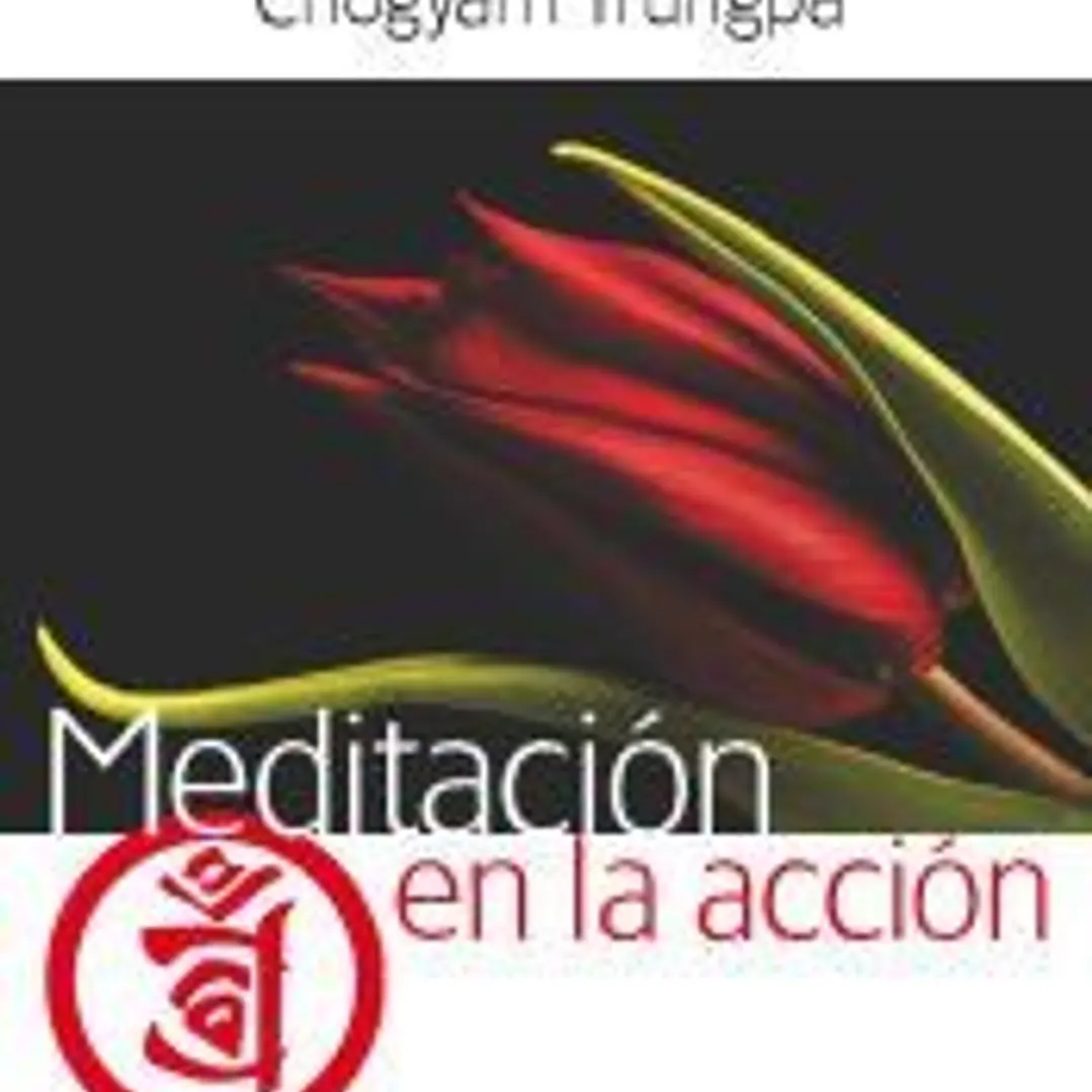 Meditación en la acción 1