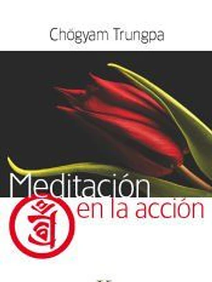 Meditación en la acción