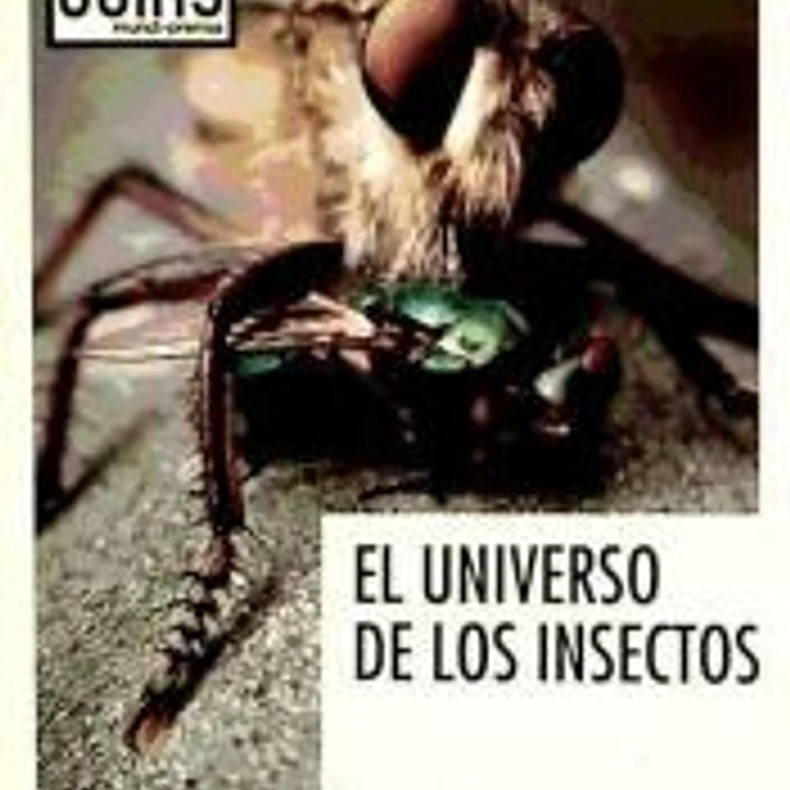 El universo de los insectos 1