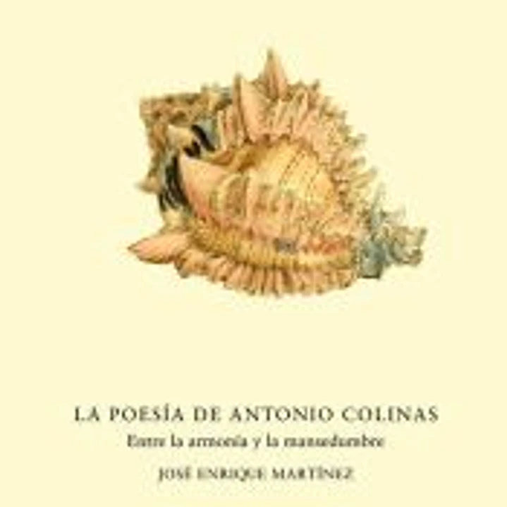 La poesía de Antonio Colinas 1