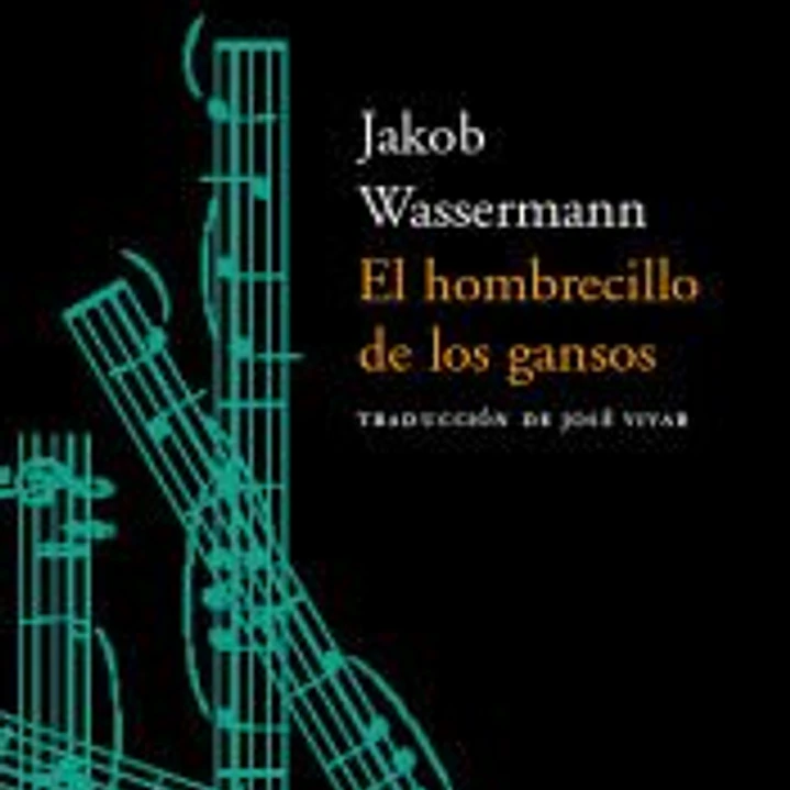 El hombrecillo de los gansos 1