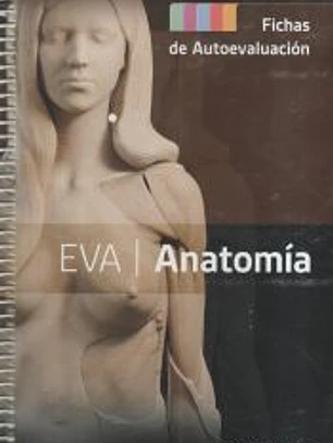 EVA | Anatomía. Fichas de autoevaluación